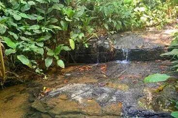 ペンション Private Jungle “loft Del Rio” River Access