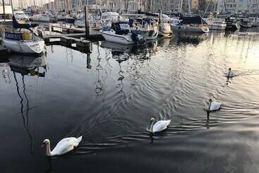 ツーリストアパートメント Freemans Wharf