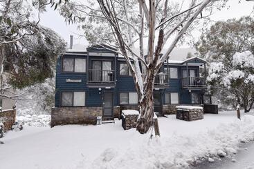 Жильё для туристов Three Bears 2 Thredbo