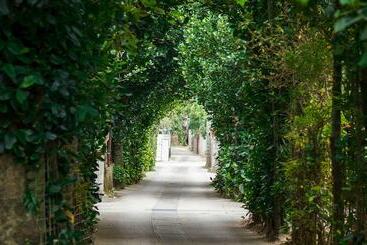 Apartamentos turísticos Akabana Inn