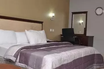 هتل Lush Suites