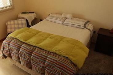 بنسيون Cabaña Albergo Punta De Choros