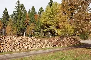 ツーリストアパートメント Flat Near The Ski Area In Urberg