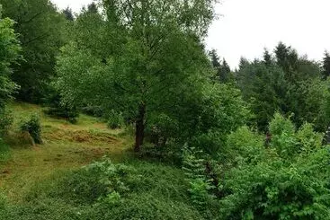 Turistihuoneistot Spacious Apartment In Rattlar With Private Terrace