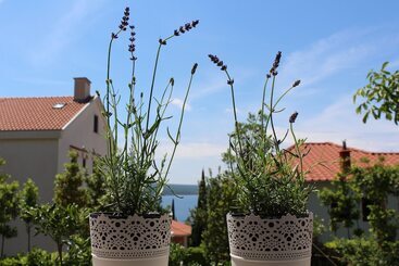 شقق خاصة سياحية Apartments Marija