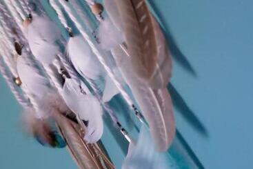 Bed and Breakfast Maison D'hôtes L'etiquette