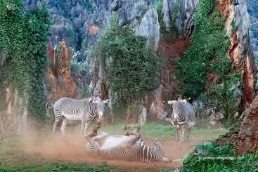 호텔 Jardin De Carrejo