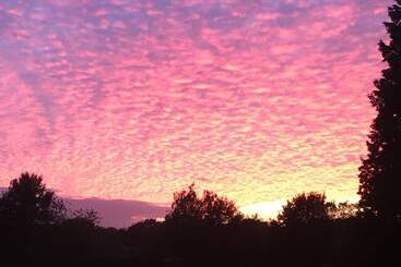 Pensão Erve Het Roolvink