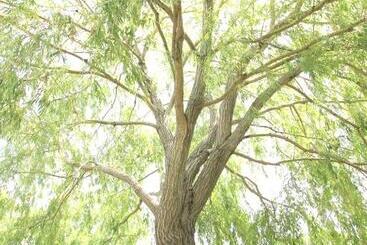 آپارتمانهای توریستها Green Place Portoroz Rc