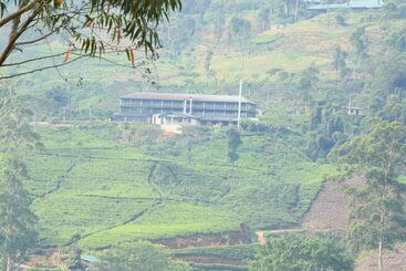 Hotell Castlereagh Summer House