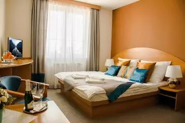 Pension Penzion Fontana