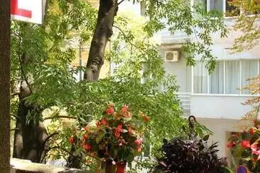 Hostel Sova