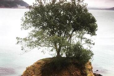 住宿加早餐 Westcroft Guesthouse