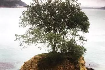 Bed and Breakfast Westcroft Guesthouse