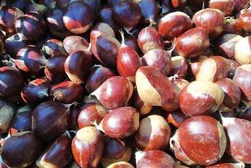 Отель A Casa Del Tosi