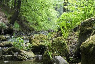 Отель Zum Schneekopf Garni
