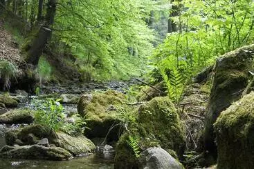 Hotel Zum Schneekopf Garni