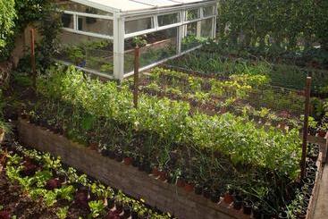 호텔 Adare Guesthouse