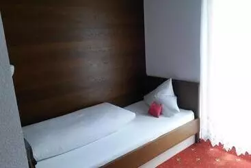 Cămin Gasthof Pension Traube