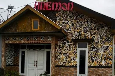 Pensiune Homestay Anemon