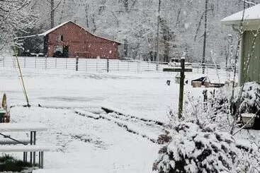 Country Aire Bed & Breakfast