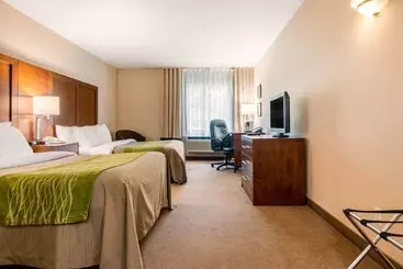 בית מלון כפרי Comfort Inn & Suites Shawinigan