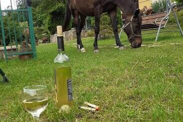 Пансион Guest House Alfa Daniel