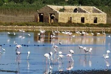 Pensió Casa Maritrì Locazione Turistica