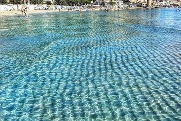 B&b Il Giardino Degli Agrumi