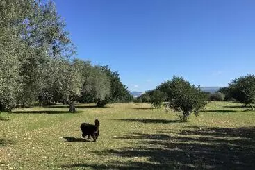 Majatalo Dimora Di Dante