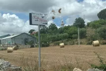 Bed and Breakfast Casa Delle Rondini