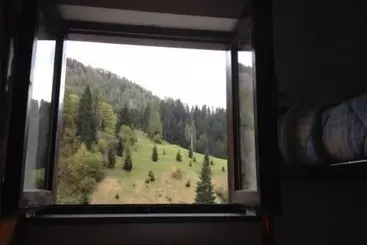 Hotel Rododendro