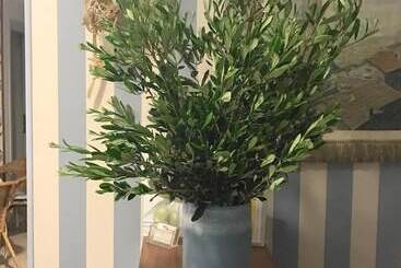 Bed and Breakfast Locanda Kon Tiki