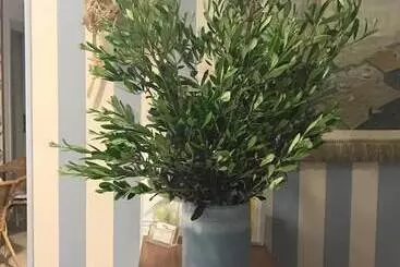 ベッドアンドブレックファースト Locanda Kon Tiki