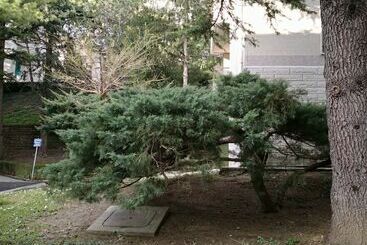 B&b Da Thais Un Piacevole Relax