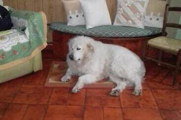 B&b Su Narboni Mannu E4247