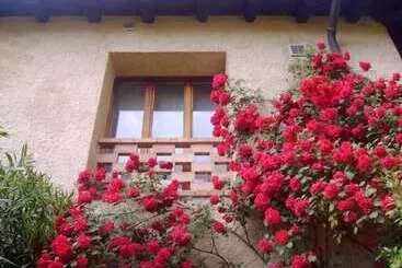 B&b Strada Del Collalto