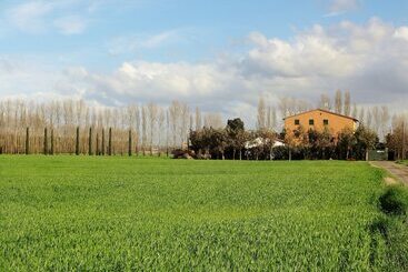 בית מלון כפרי Agriturismo Pinzale