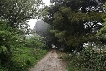 Landhotel Agriturismo Bosco Pianetti