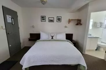 Mountain Springs Motel