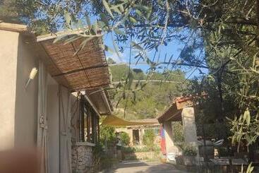 بنسيون Le Frangipanier