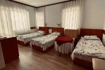 Otel Ambient   Struga