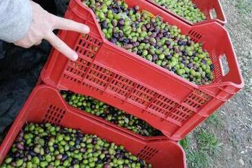 Отель Il Podere Di Sole