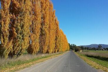 모텔 Harriet House Tumut