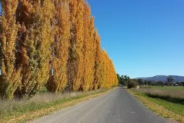 モーテル Harriet House Tumut