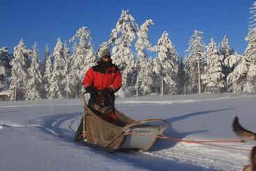 Beana Laponia   Wilderness Boutique Hotel With Safaris