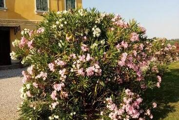 פנסיון Mu & Mu