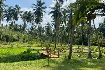 Hotel Ambarella Lodge   Katunayake