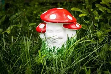 ペンション Casa De Vacanta Marya