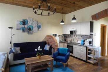 Pensjonat Boros Vendégház I